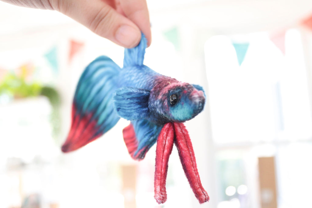 Betta Fish