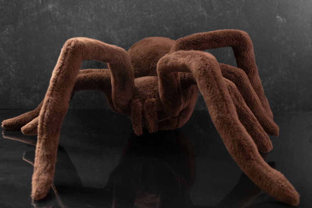 Brown spider plush toy
