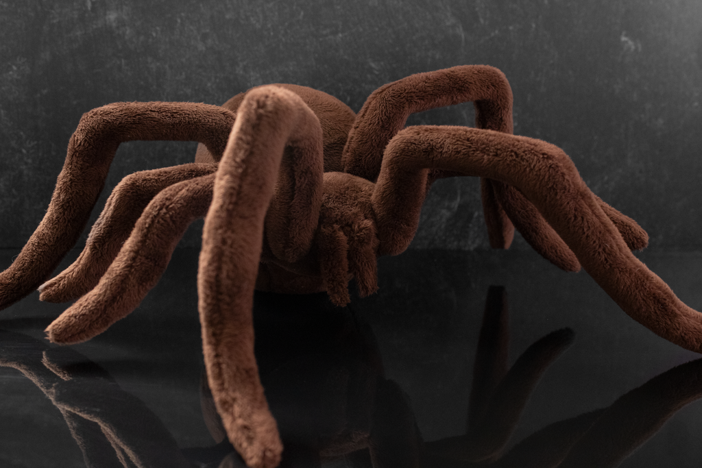 Brown spider plush toy