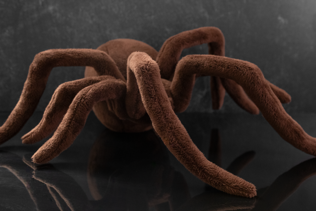 Brown spider plush toy
