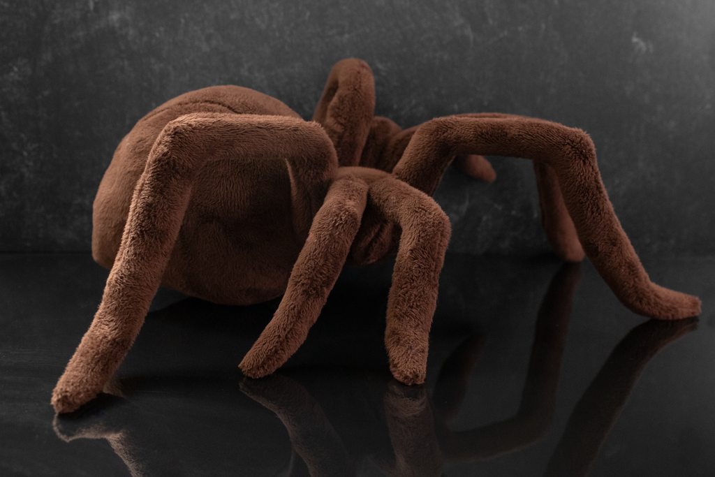 Brown spider plush toy